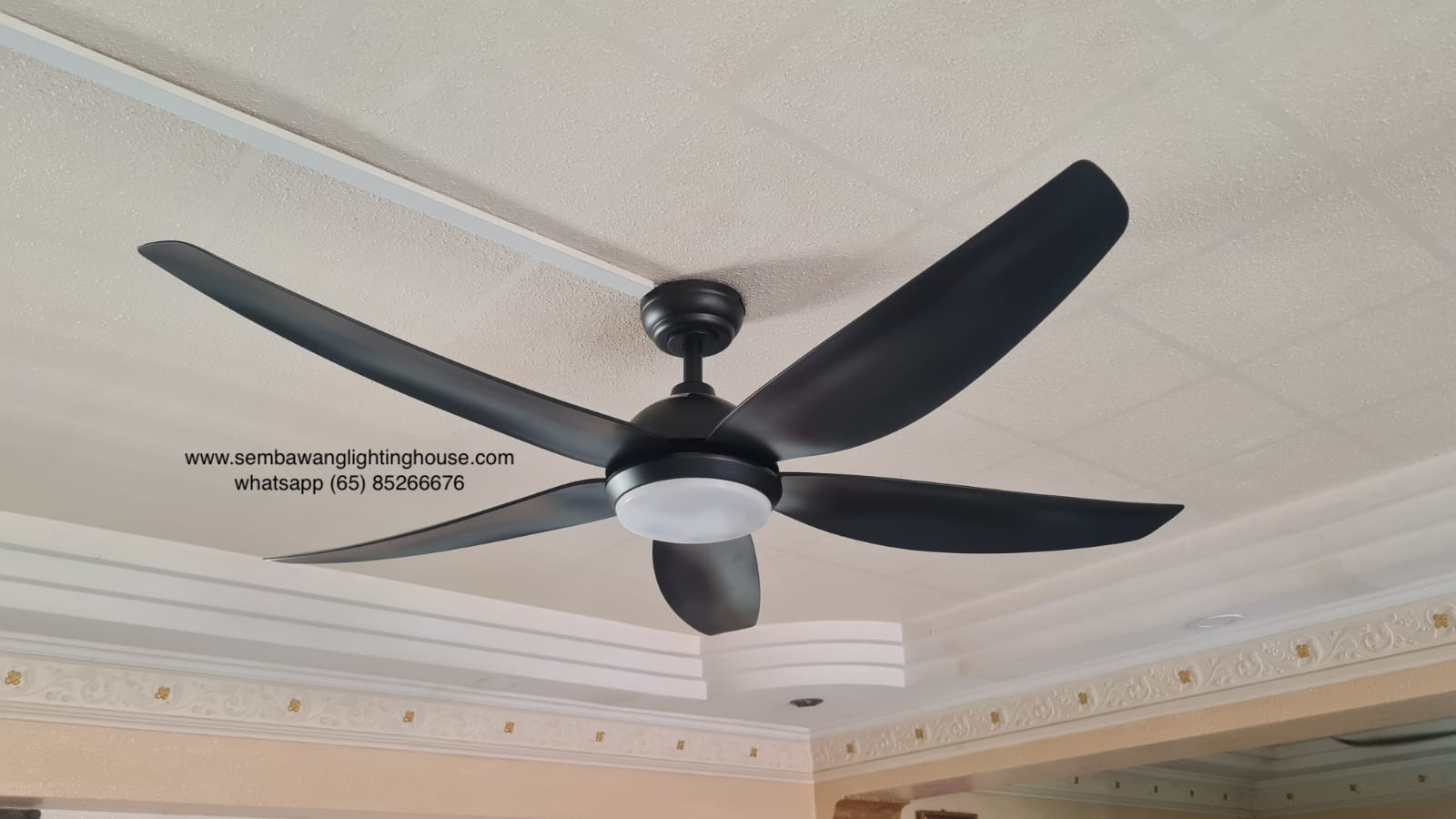 Fanco Galaxy 5B 38" 48" 56" DC LED ceiling fan