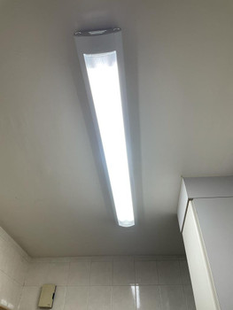 2FG/4FG T8 Long Ceiling Lamp