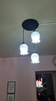 08 Floral Glass Dining Lamp