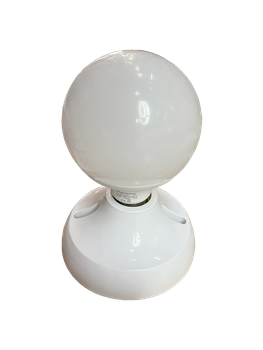 E27 Holder + 12W big globe led bulb