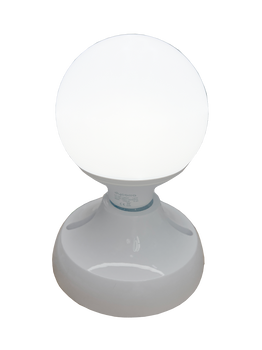 E27 Holder + 12W big globe led bulb