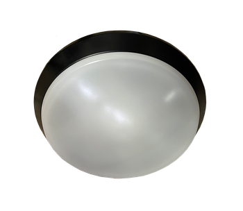 03-230mm Black Acrylic Ceiling Lamp (12W)