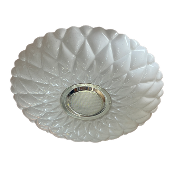 Peacock White Acrylic 500mm Ceiling Lamp