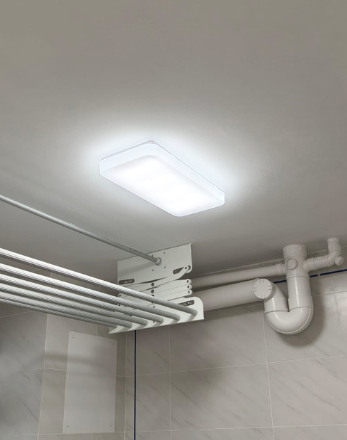 8013 Rectangle Ceiling Lamp