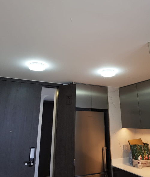 906 Plain White E27 Ceiling Lamp (260mm)