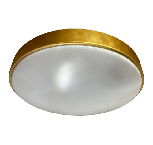 CL07-500mm Acrylic Gold Ceiling Lamp