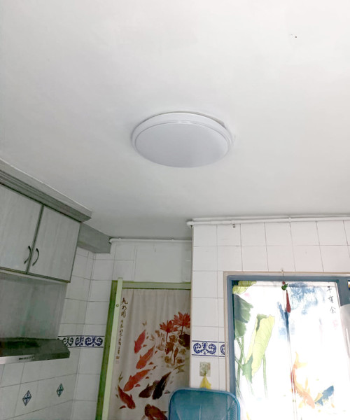 905 Plain White Ceiling Lamp (450mm)