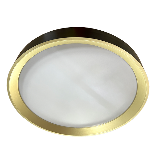 DY-CL22 400mm Black Gold Acrylic Ceiling Lamp