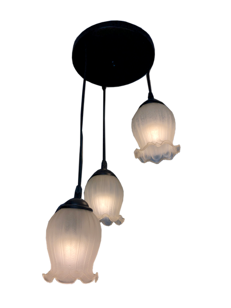 08 Floral Glass Dining Lamp
