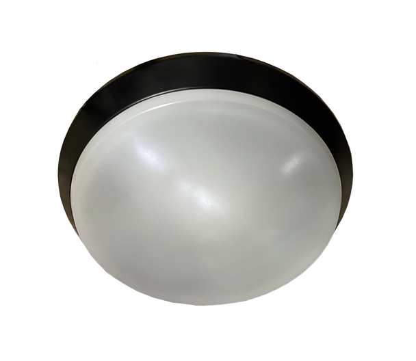 03-230mm Black Acrylic Ceiling Lamp (12W)