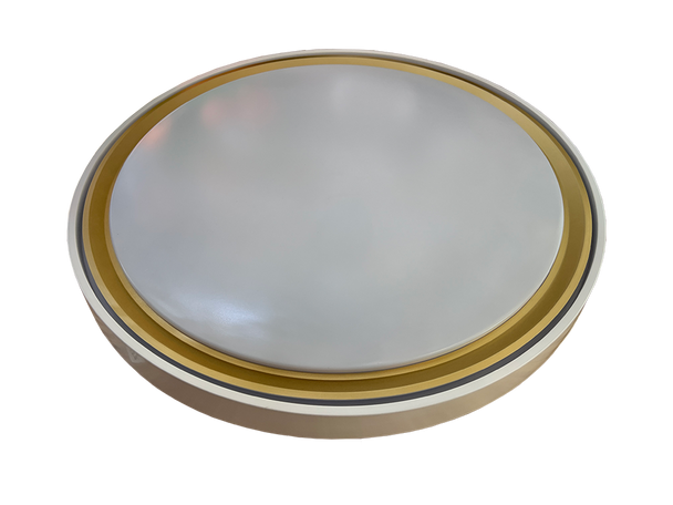 DY-CL15-500mm Round White Ceiling Lamp