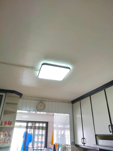 SQ423-400mm Black Ceiling Lamp