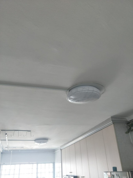 829 Acrylic Line White Ceiling Lamp (350mm)