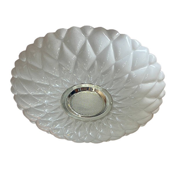 Peacock White Acrylic 500mm Ceiling Lamp