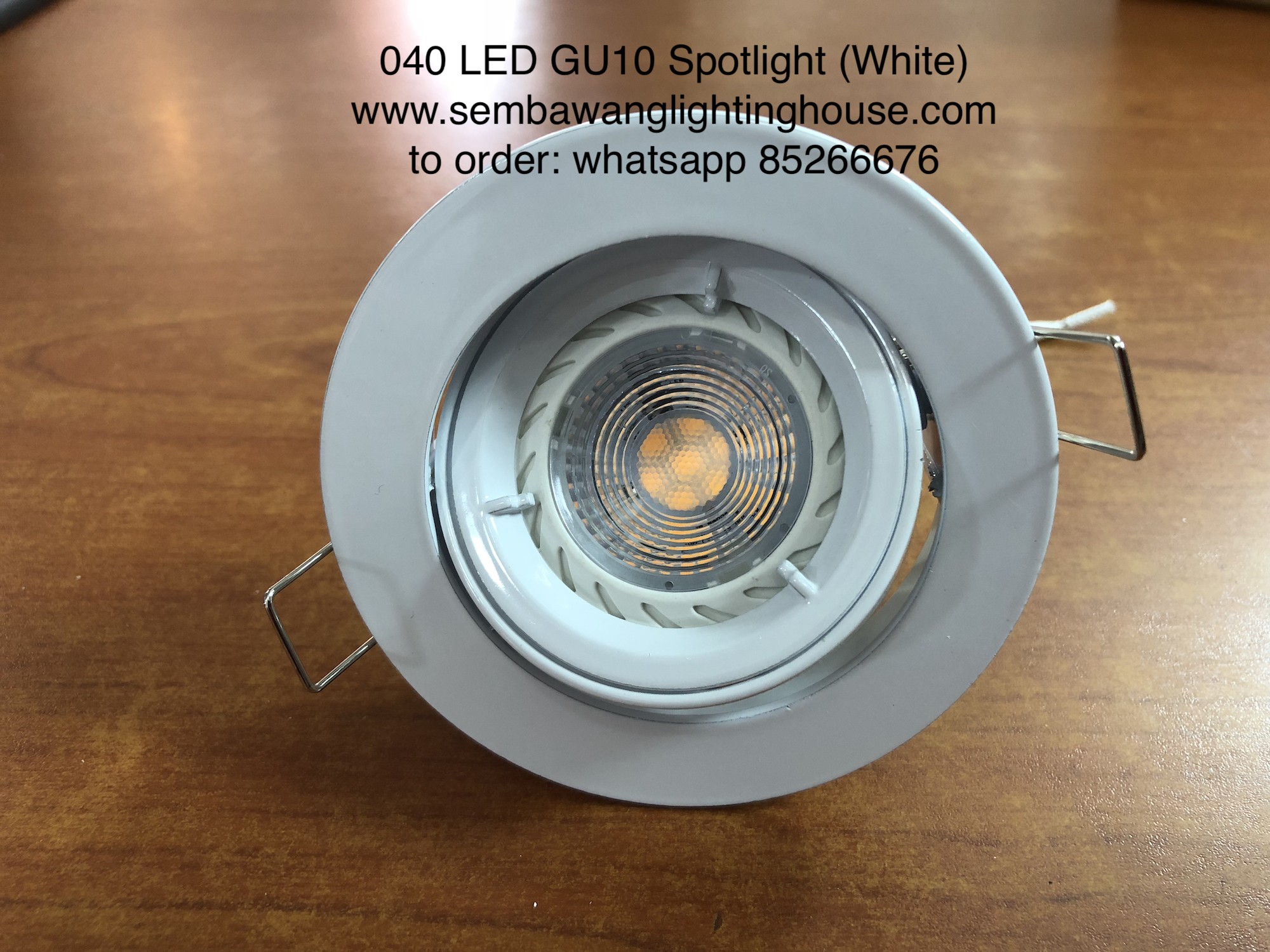 led microwave light