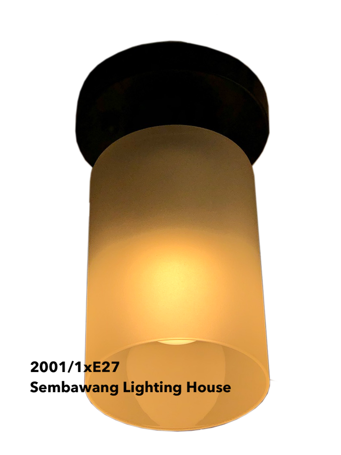 2001-e27-ceiling-lamp-1.png