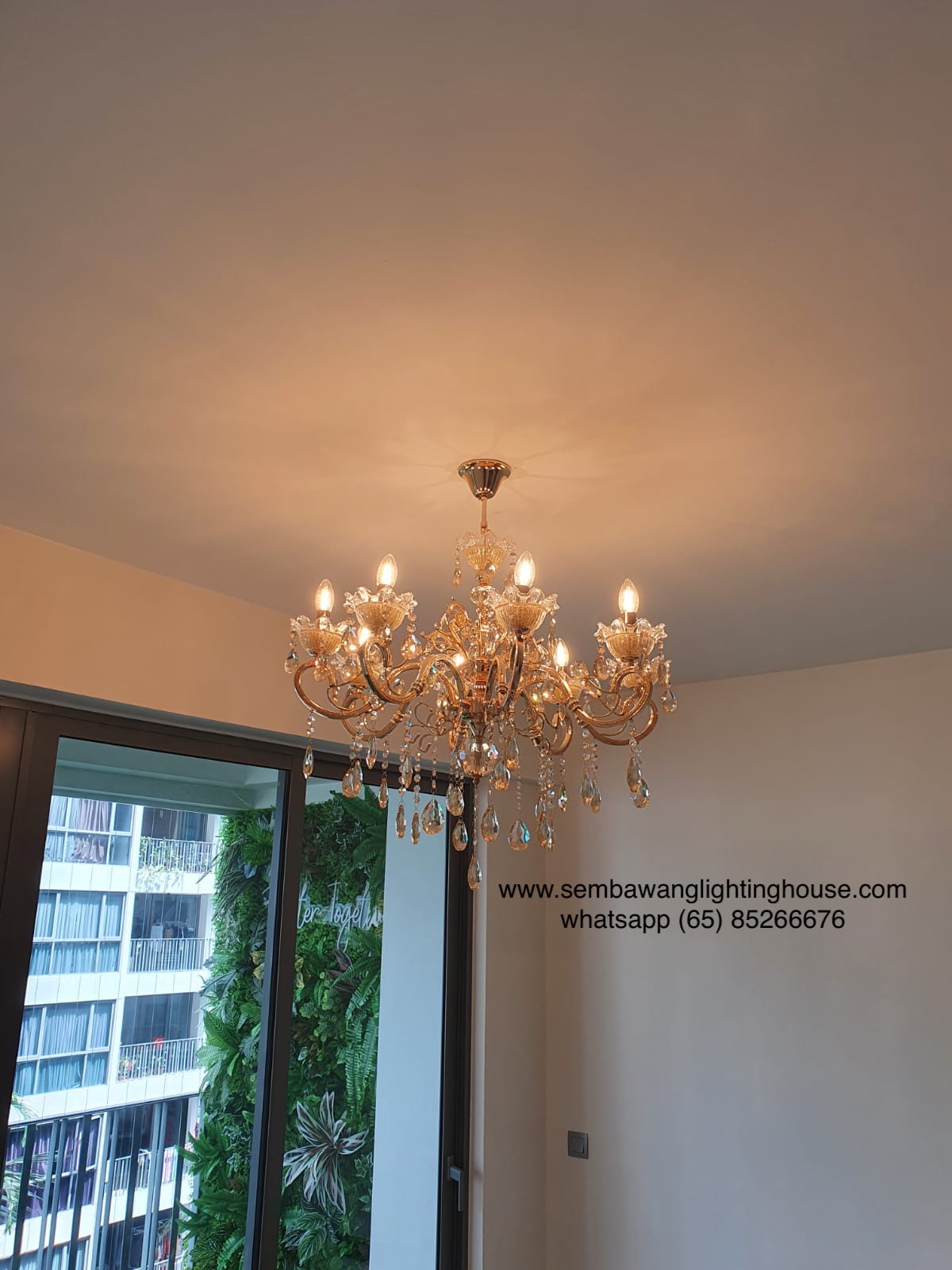 7726-8l-b-sample-gold-crystal-chandelier-sembawang-lighting-house.jpg