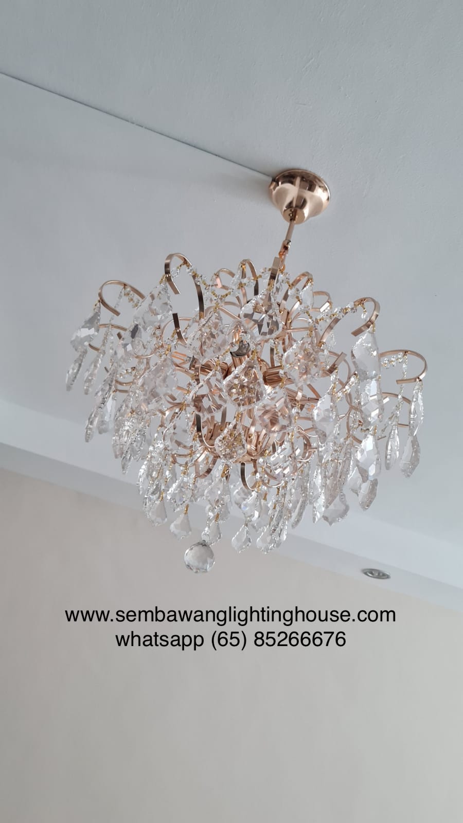 a07-c-sample-gold-crystal-chandelier-sembawang-lighting-house.jpg