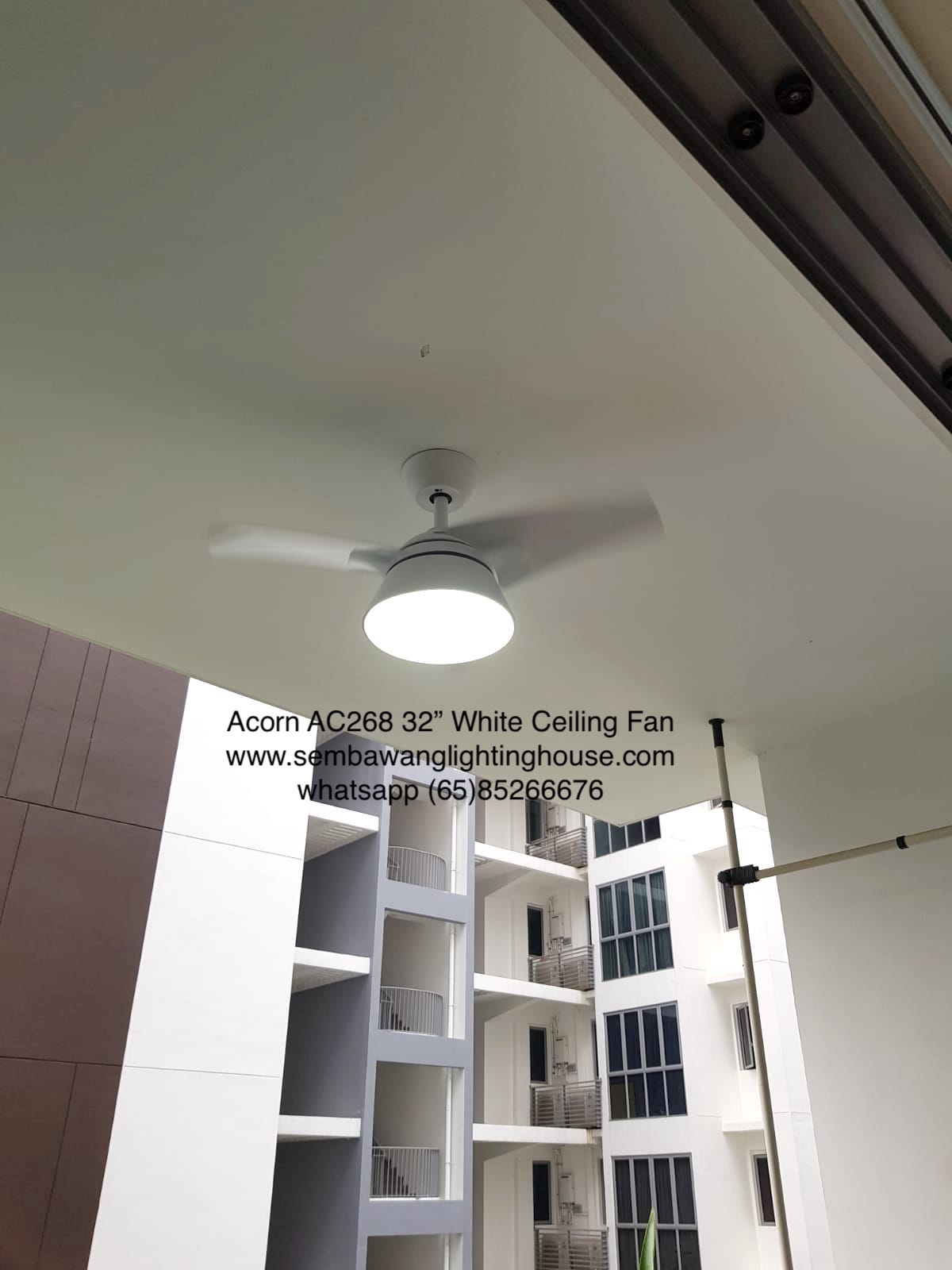 acorn-ac268-32-inch-white-ceiling-fan-sample-sembawang-lighting-house-02.jpg