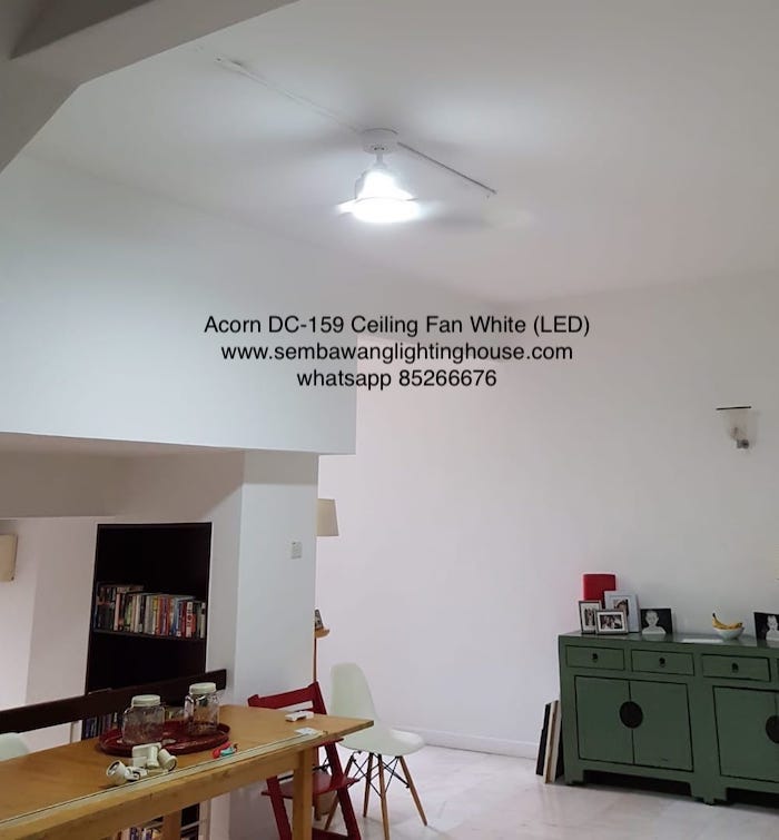 acorn-dc159-white-ceiling-fan-led-sample-sembawang-lighting-house-1.jpeg acorn-dc159-white-ceiling-fan-led-sample-sembawang-lighting-house-1.jpeg