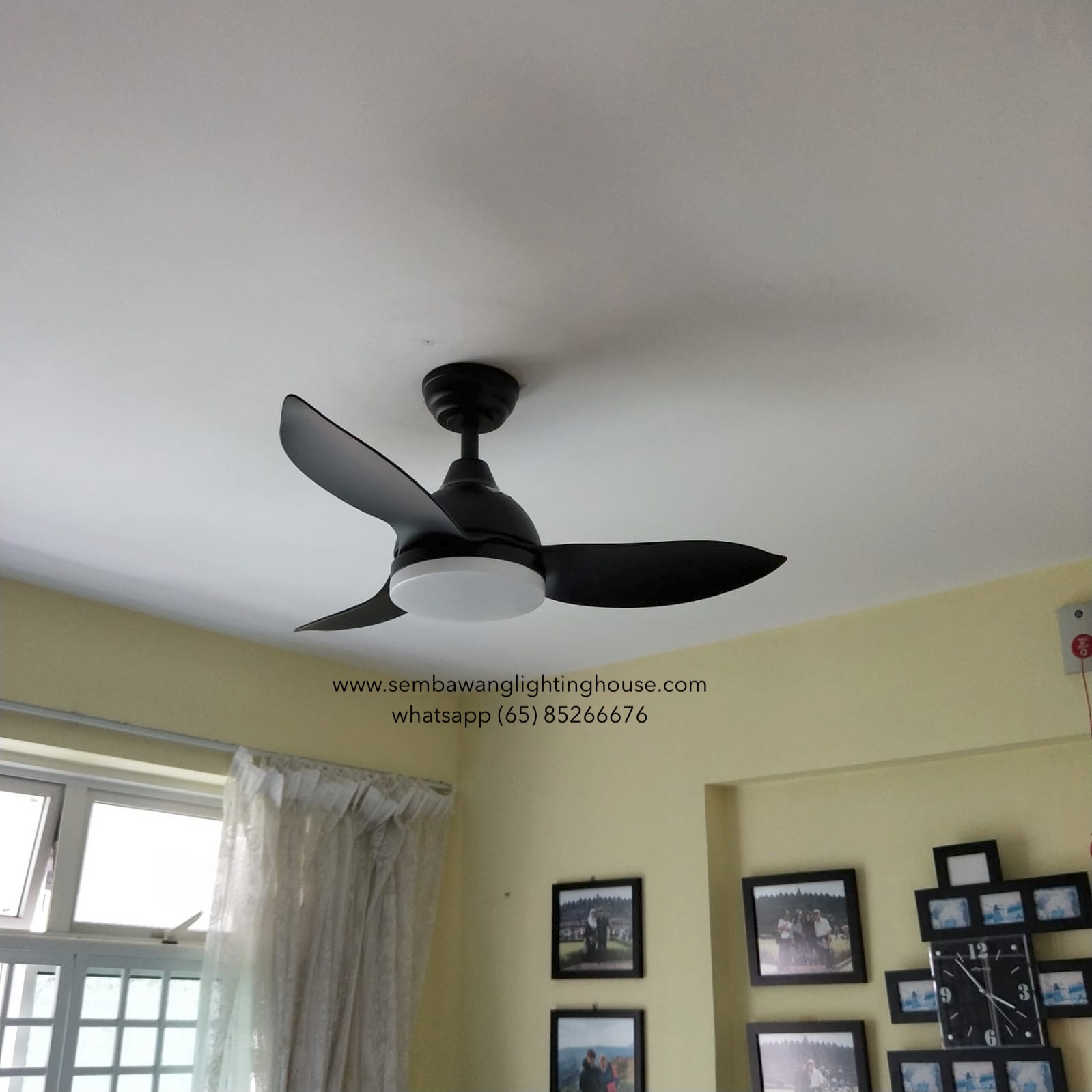 bestar-raptor-black-ceiling-fan-with-light-sembawang-lighting-house-10.jpg