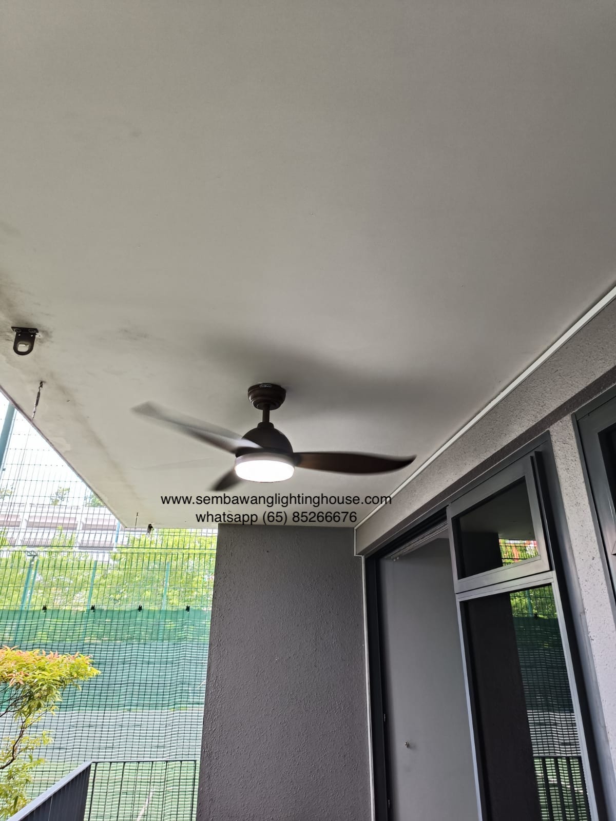 bestar-raptor-oak-wood-ceiling-fan-with-light-sembawang-lighting-house-01.jpg