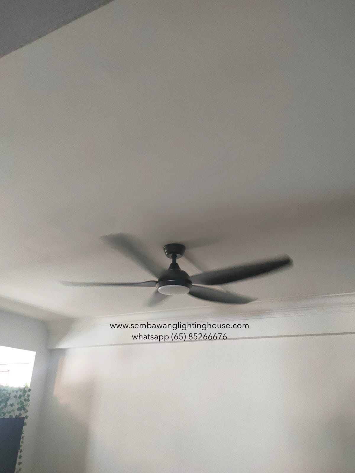 bestar-star-5-black-ceiling-fan-sample-sembawang-lighting-house-01.jpg