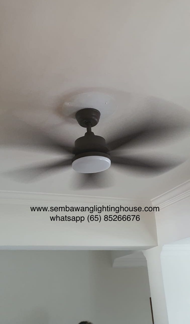 bestar-vino-black-ceiling-fan-sample-sembawang-lighting-house-01.jpg