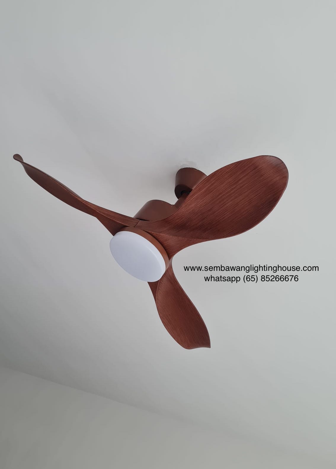 decco-adelaide-ceiling-fan-with-light-dark-oak-sembawang-lighting-house-02.jpg