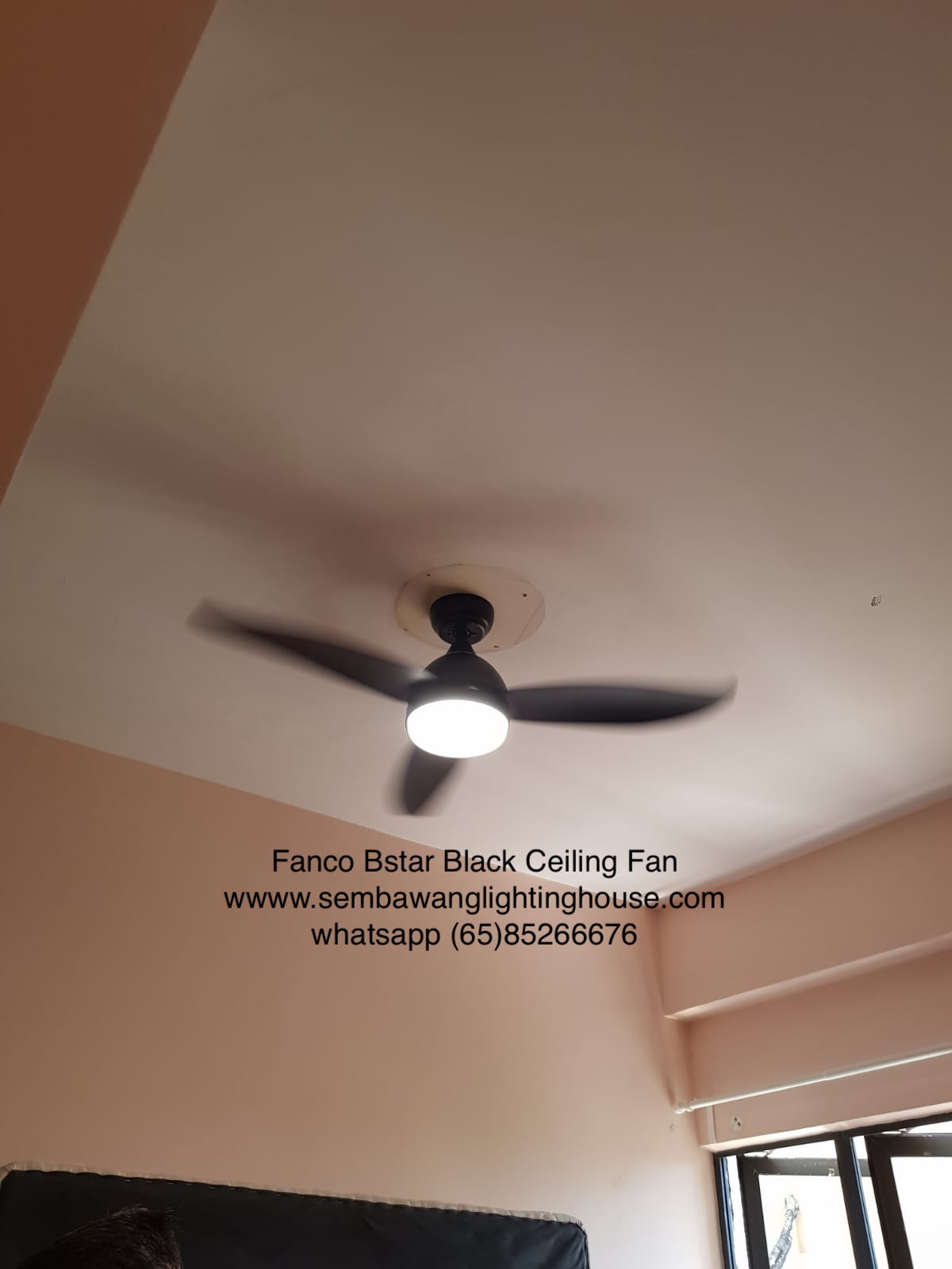 Buy Fanco B Star Dc Ceiling Fan Near Me Sembawang Lighting