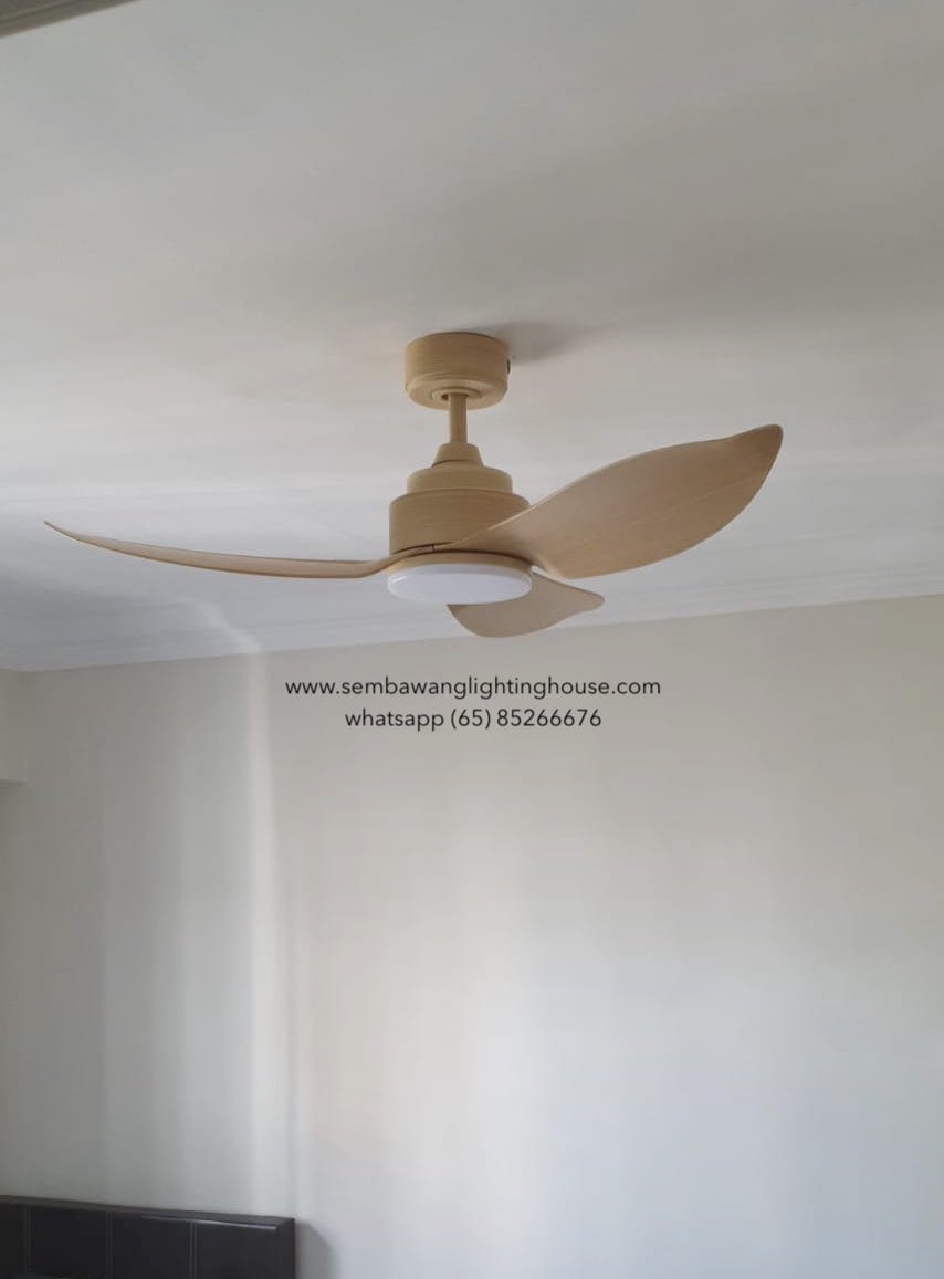 sample-03-acorn-dc356-ceiling-fan-wood-sembawang-lighting-house.jpeg