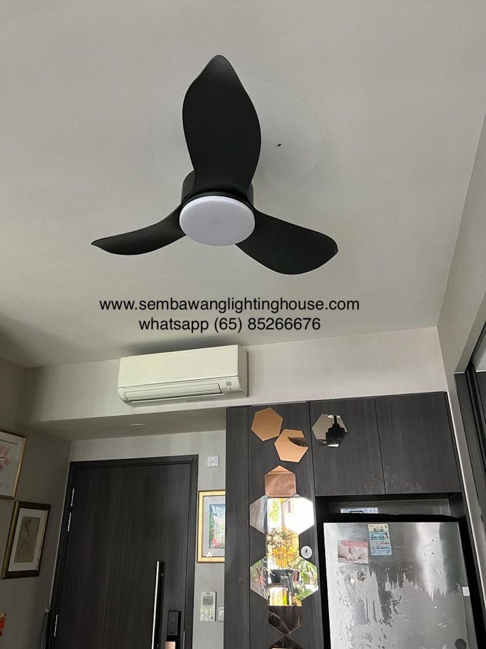 sample-12-acorn-dc356-ceiling-fan-black-sembawang-lighting-house.jpeg