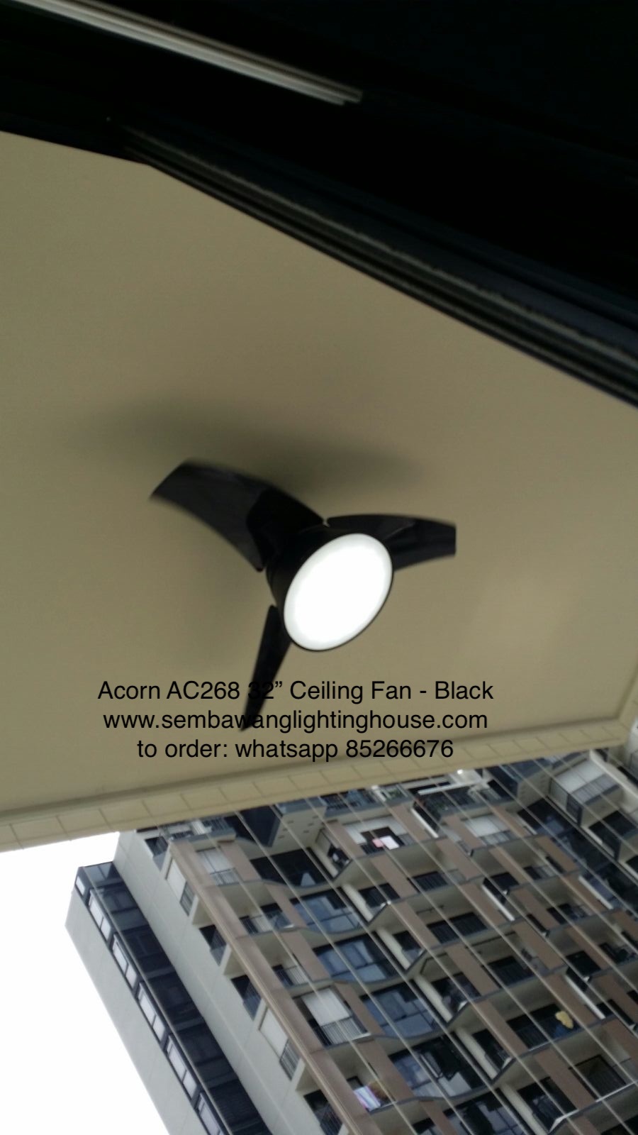 sample02-acorn-ac268-ceiling-fan-black-sembawang-lighting-house.jpg