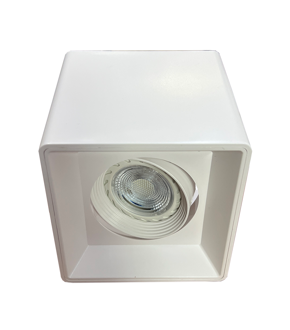 sm1002-white-1-square-ceiling-mount-lamp-sembawang-lighting-house.png