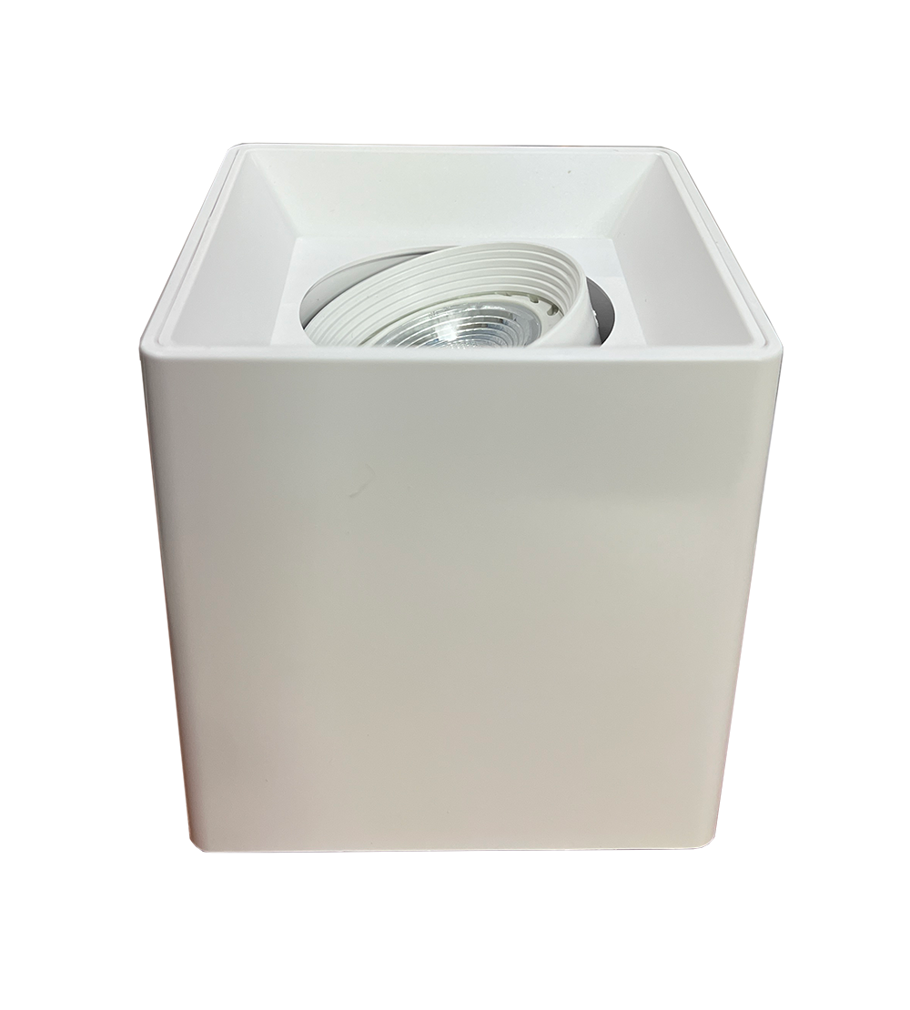sm1002-white-2-square-ceiling-mount-lamp-sembawang-lighting-house.png