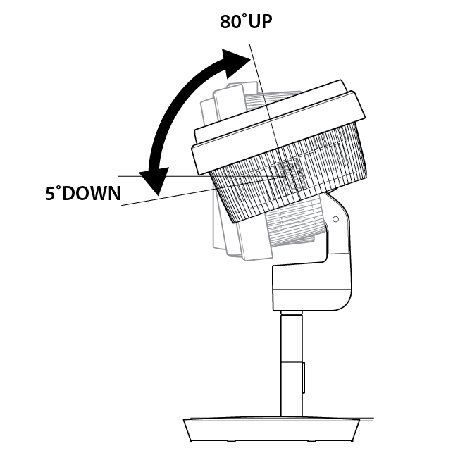 up-down-bishop-1-.png