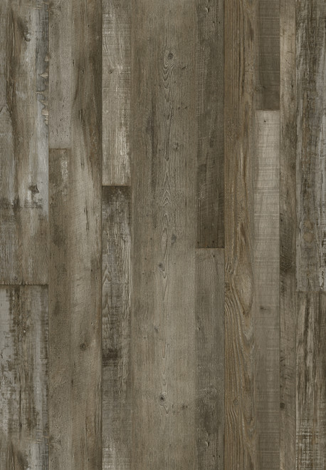 Petrified Forest Lite