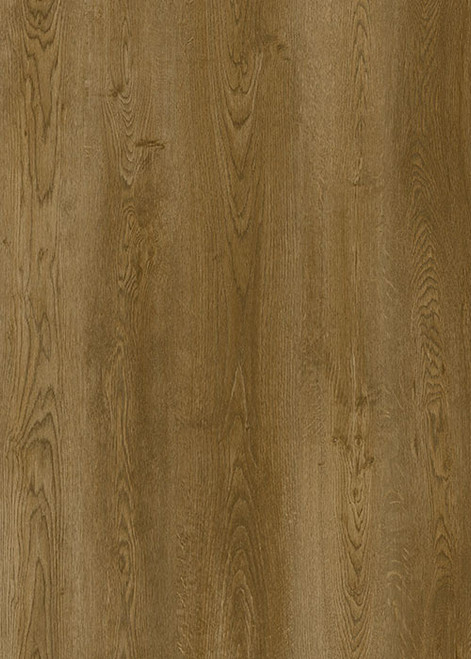 PU602 Gallatin Forest