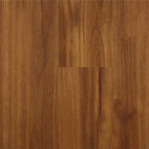 Market & Main Collection