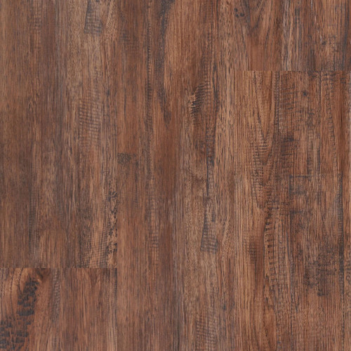 Zain - PURRFECT COLLECTION