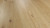 Blonde Oak