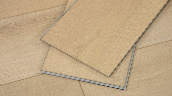 Sandbar Oak