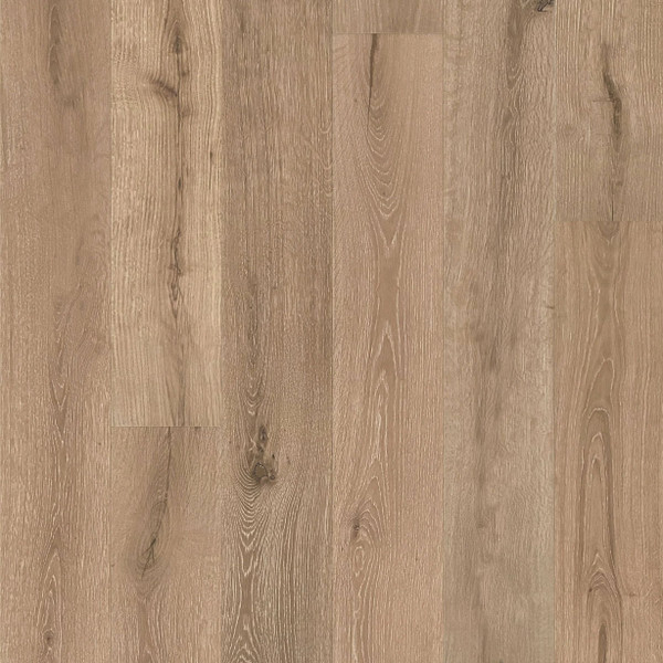 Zain - TIMBER COLLECTION