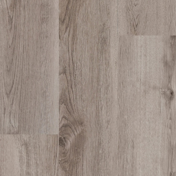 Zain - ABBEY GRACE COLLECTION