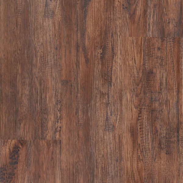 Zain - PURRFECT COLLECTION