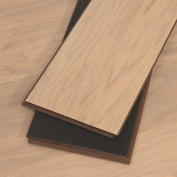 Santa Cruz Collection