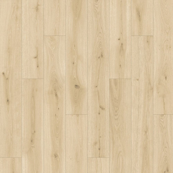 Saylor's Cove Collection