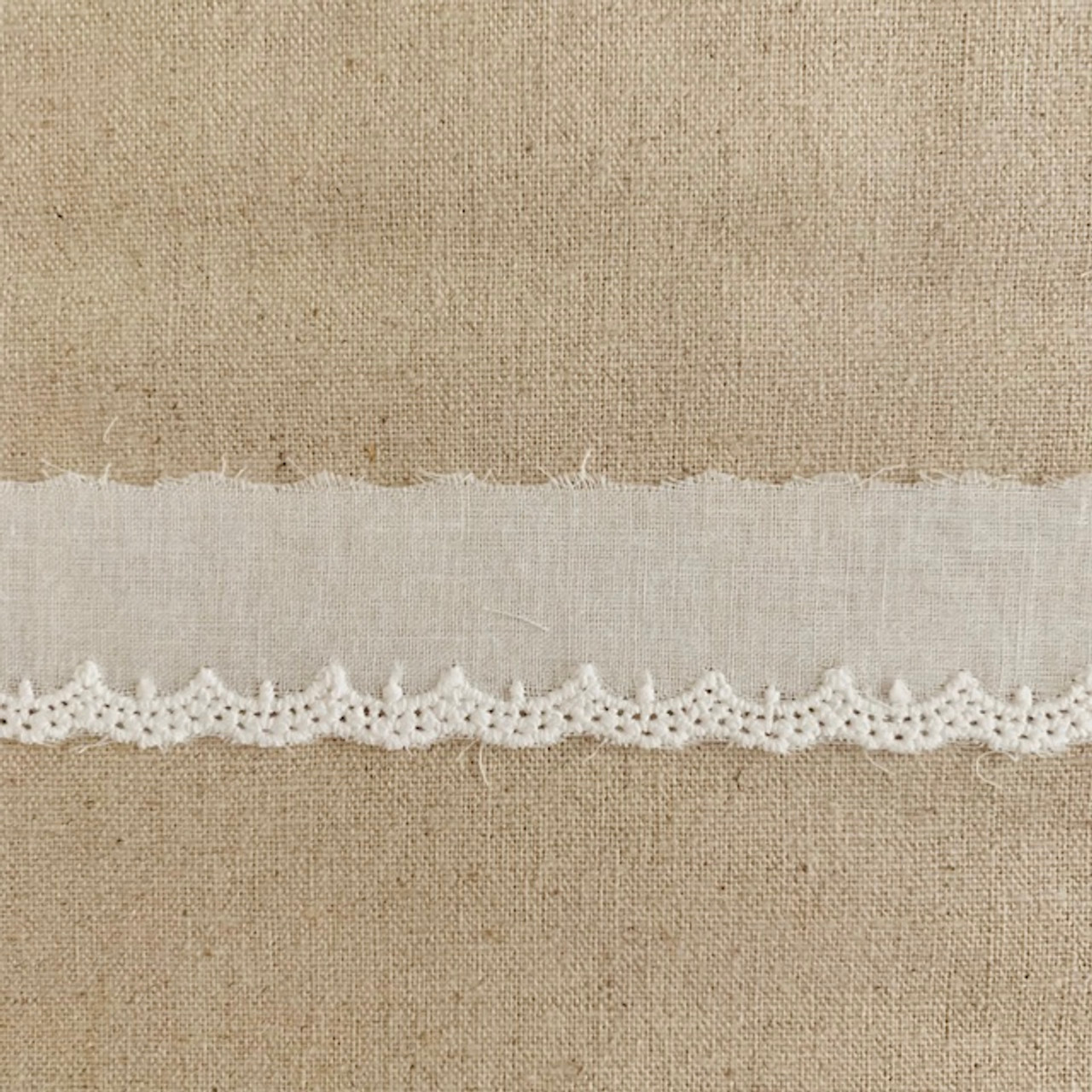 scalloped lace edging