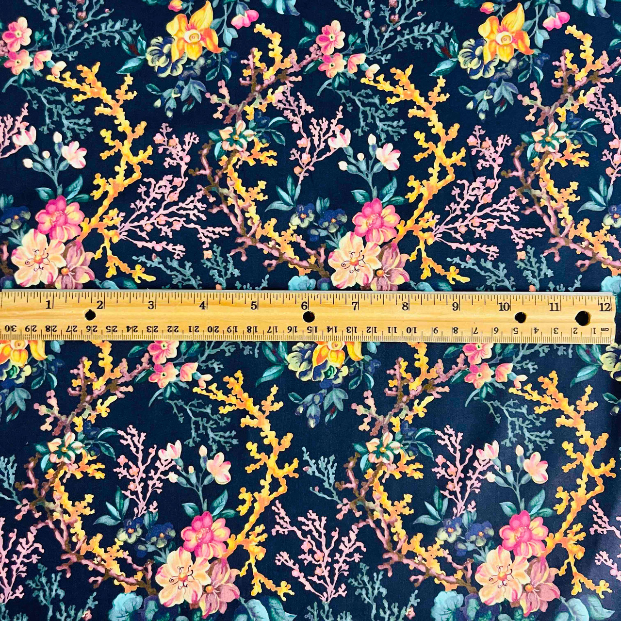 Coral Meadow
