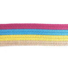 1.5" Sorbet Stripe Webbing 1.5" Sorbet Stripe Webbing